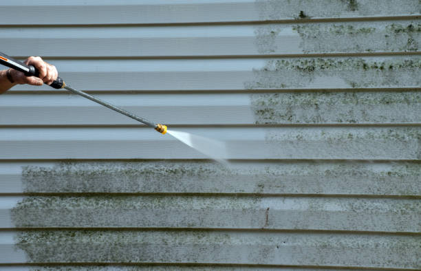 Best Roof Power Washing Services  in Enlow, PA